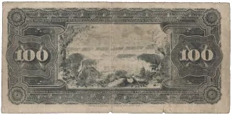 Argentina 100 Pesos, 1895-1897 reverse