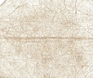 Australia 1 Rupee, 1879 reverse