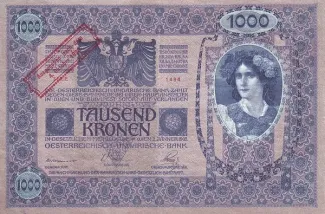 Austria 1.000 Kronen, 1920 obverse