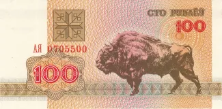 Belarus 100 Roubles, 1992 image