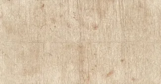 British Malaysia 50 Cents, 1895 reverse