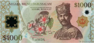 Brunei 1.000 Ringgit, 2006 image