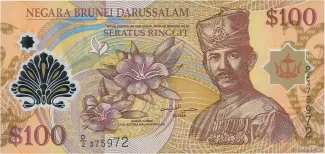 Brunei 100 Ringgit, 2013 image
