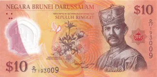 Brunei 10 Ringgit, 2013 image