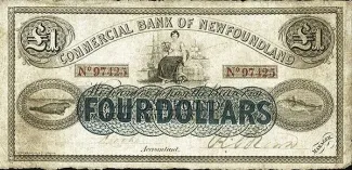 Canadian provinces 1 Pound, 1884 image