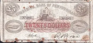 Canadian provinces 5 Pounds, 1874 image
