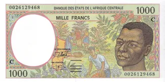 Central African States 1.000 Francs, 1993-2002 obverse