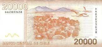 Chile 20 000, 2009-2022 reverse