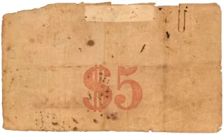 Danish West Indies 5 Dollars, 1878 reverse