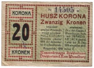  20 , 1919
