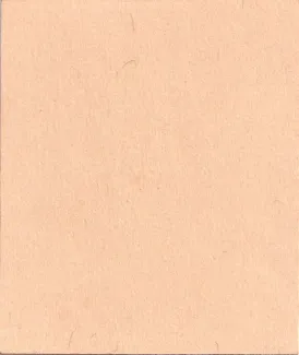 Indian princely states 1 Paise,  reverse