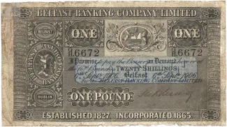Ireland 1 Pound, 1909 image