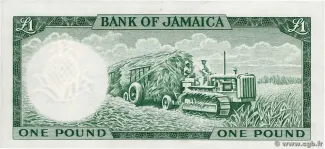 Jamaica 1 Pound, 1961 reverse