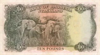 Rhodesia and Nyasaland 10 Pounds, 1956-1961 reverse