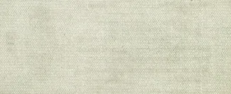 Russia - Civil war issues 50 Roubles, 1919 reverse