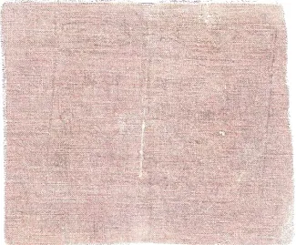 Sinkiang Province 40 Cash, 1923 reverse