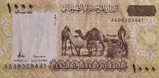  1.000 , 2010
