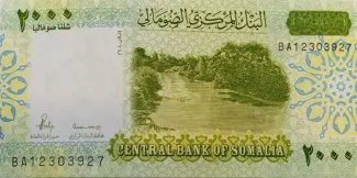  2.000 , 2010
