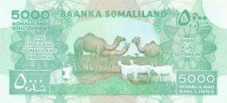 Somaliland 5.000 Shillings, 2011-2016 reverse