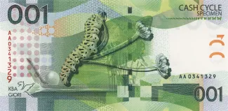 Switzerland 0 Cycle, 2010 reverse
