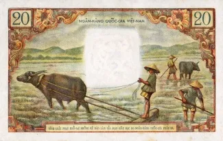 South Vietnam 20 Ðồng, 1955 reverse