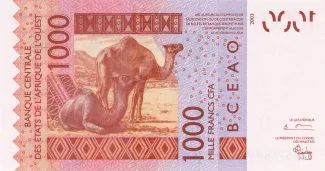 Western African States 1.000 Francs, 2003-2024 reverse