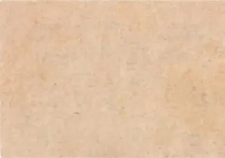 Yugoslavia Notgeld 10 Filira, 1919 reverse