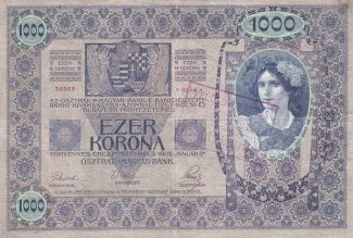 Yugoslavia 1.000 Kruna, 1919 reverse