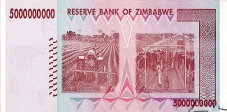 Zimbabwe 5 000, 2008 reverse